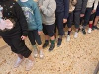 WhatsApp_Image_2025-02-08_at_105801