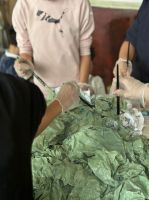 WhatsApp_Image_2024-05-24_at_123242_1