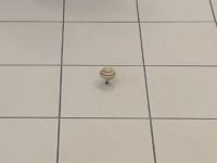 WhatsApp_Image_2023-12-11_at_212958_2