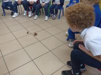 WhatsApp_Image_2023-12-11_at_212959