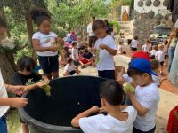 WhatsApp_Image_2023-10-16_at_232943_1