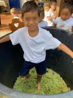 WhatsApp_Image_2023-10-16_at_232944_3