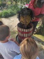 WhatsApp_Image_2023-10-17_at_113219_1