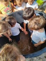 WhatsApp_Image_2023-10-17_at_214313_1