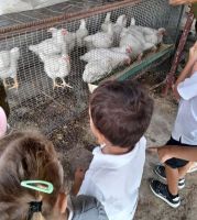 WhatsApp_Image_2023-10-17_at_214313_4