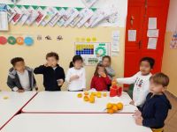 WhatsApp_Image_2024-01-17_at_200714_1