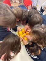 WhatsApp_Image_2024-01-19_at_114124_2