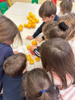 WhatsApp_Image_2024-01-19_at_114126_1