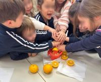 WhatsApp_Image_2024-01-19_at_114126_2