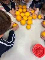 WhatsApp_Image_2024-01-19_at_114127_3