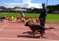 IMG_20180517_110708417