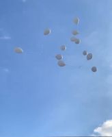 WhatsApp_Image_2023-01-09_at_161948_1