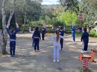 WhatsApp_Image_2023-04-17_at_185328