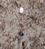 WhatsApp_Image_2023-04-22_at_124105