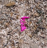 WhatsApp_Image_2023-04-22_at_124105_1