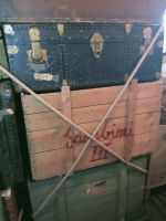 425281978_360957663436983_806404364670219002_n