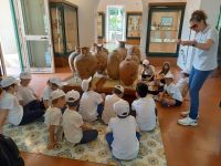 WhatsApp_Image_2023-06-01_at_172744