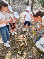 WhatsApp_Image_2023-06-05_at_151810