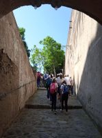 WhatsApp_Image_2023-06-09_at_124945